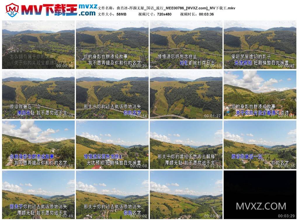 曲肖冰-厚颜无耻_国语_流行_MEE00786
